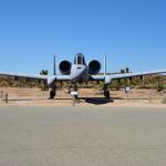 Edwards_0148 (September 20, 2017)